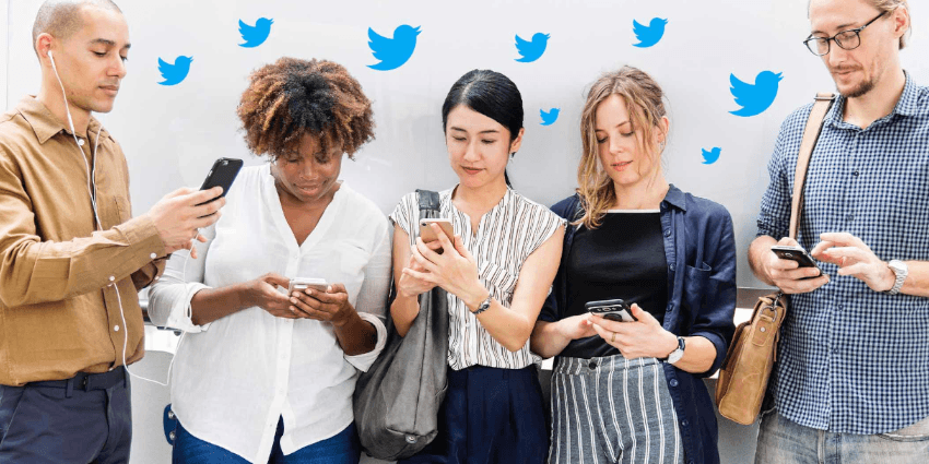 Kakapo Systems Twitter queue feature for customer service