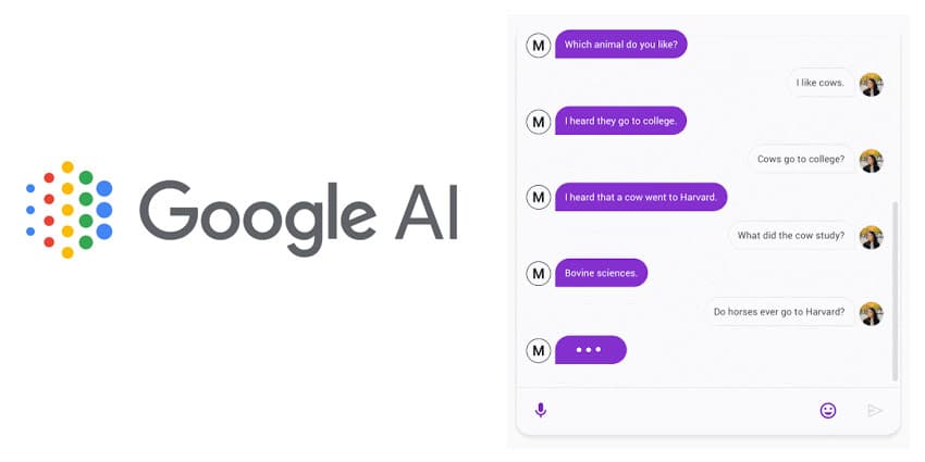 Google-Meena-Chatbot