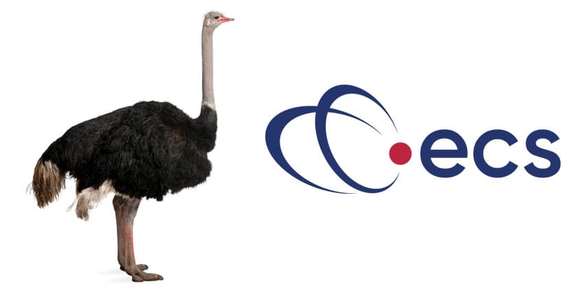 ECS-Contact-Centre-ostrich