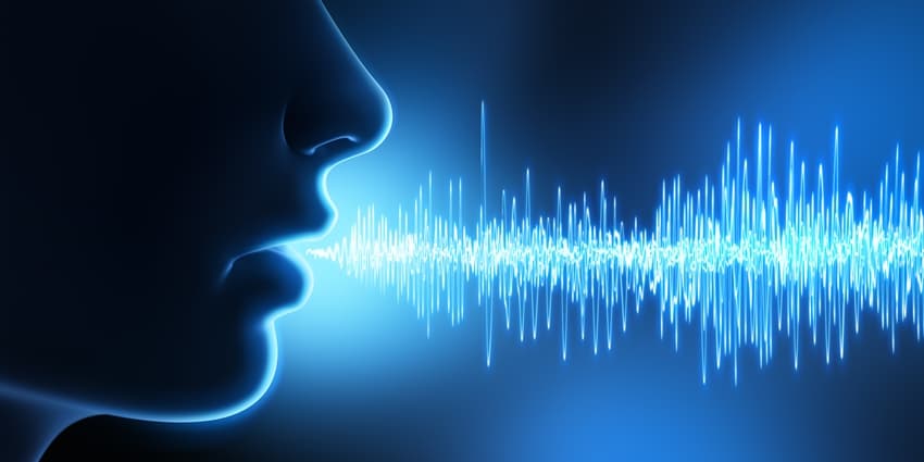 Speech Analytics Statistics for 2022