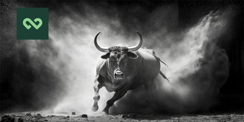 A bull in black and white