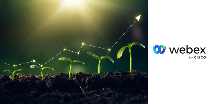 Concept of business growth,profit, development and success. Young plants increase on sunny background.Growing money,finance and investment.