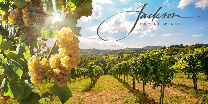 Vineyard