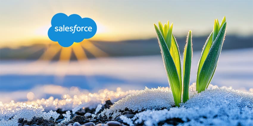 Frost damage to crops in spring from severe frost in winter wheat fields.