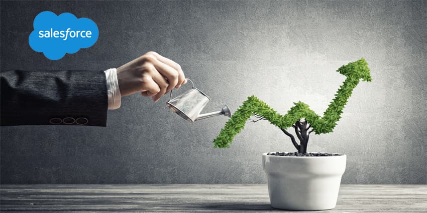 Concept of investment income and growth with tree in pot
