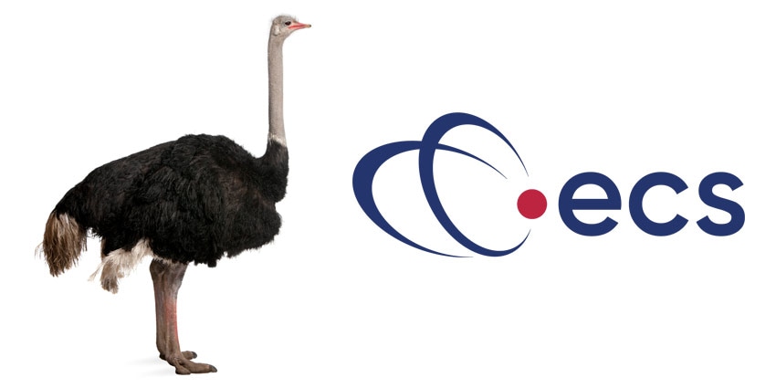 ECS-Contact-Centre-ostrich