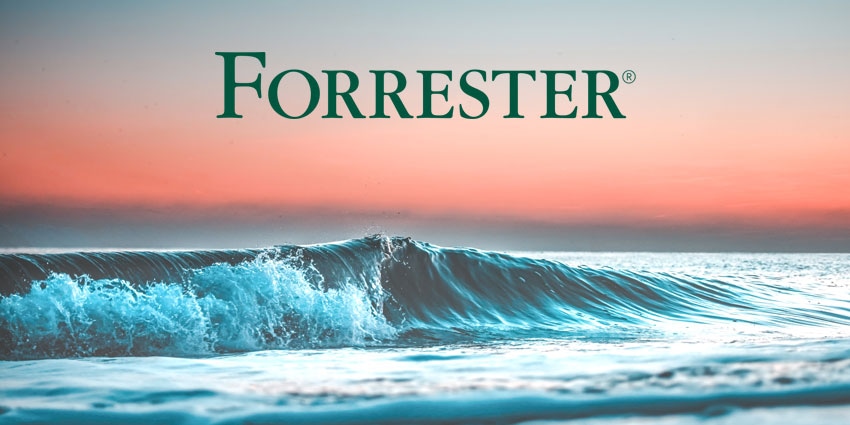 The Forrester Wave for Customer Feedback Management 2023: Top Takeaways