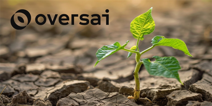 Young plant emerging from cracked earth, symbolizing new life and resilience