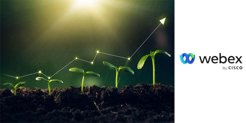 Concept of business growth,profit, development and success. Young plants increase on sunny background.Growing money,finance and investment.