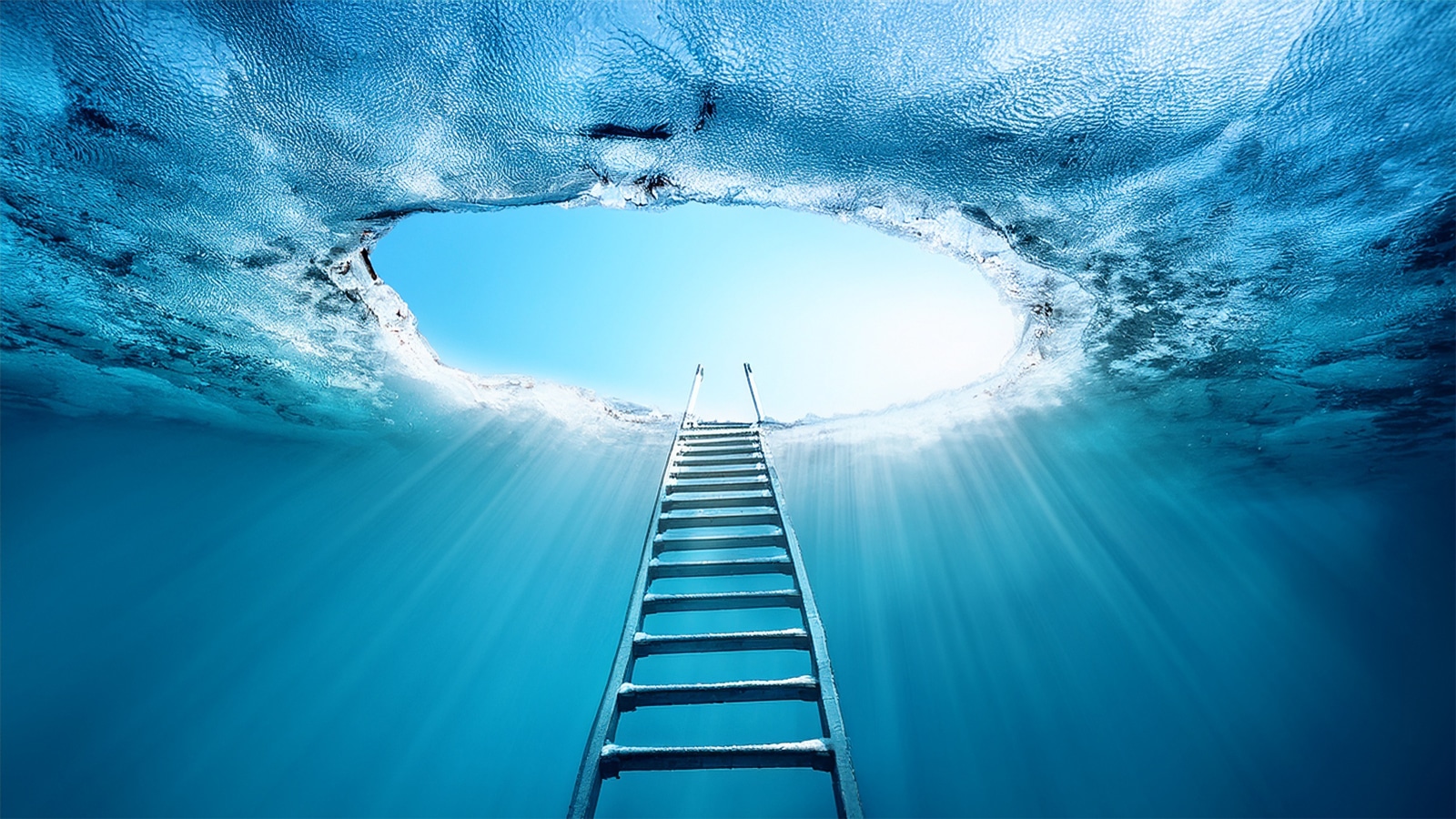AI agents and specialized SaaS platforms in customer experience
