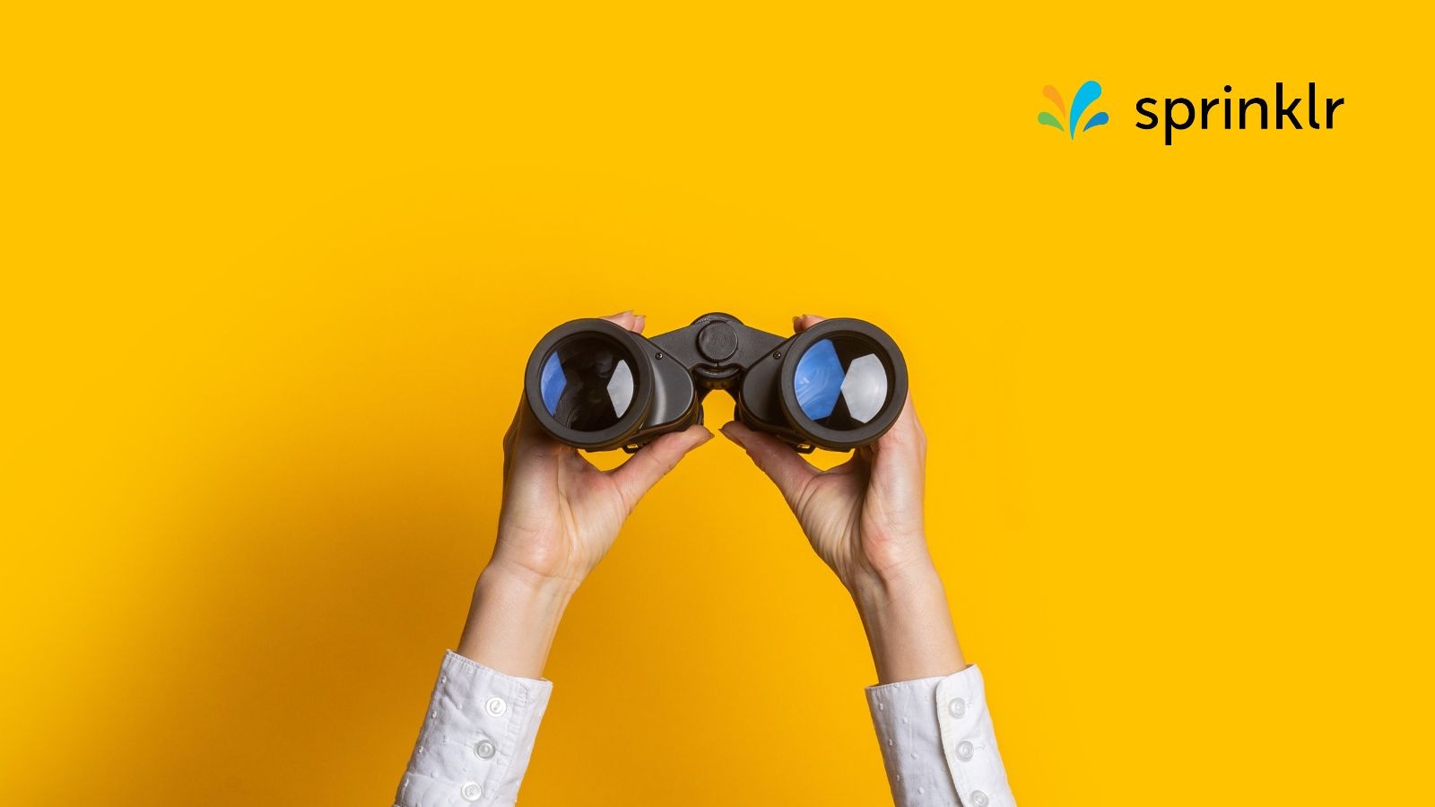 AEO versus SEO and the metrics CX leaders need to track now