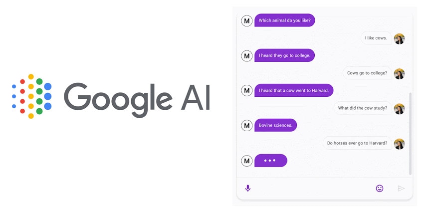 Google-Meena-Chatbot