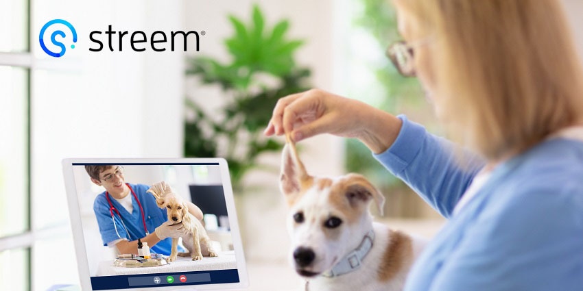 Perfect your CX Strategy with Remote Visual Assistance