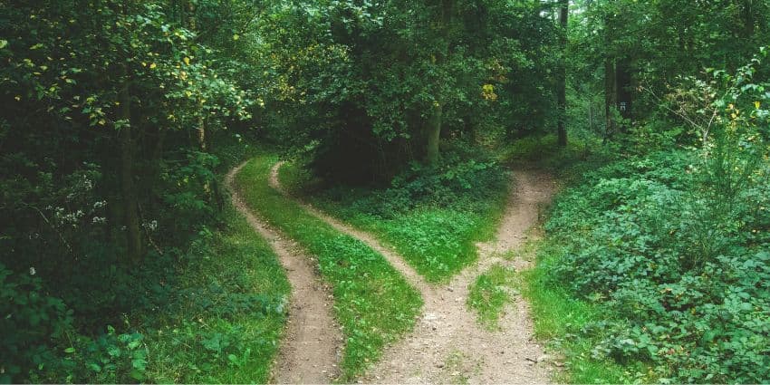 The Decision Advantage: The Impact of Decision-Making on Customer Service