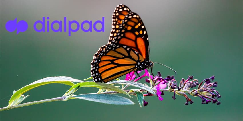 Dialpad Enhances Ai Sales Platform, Promises to Transform the Sales Process